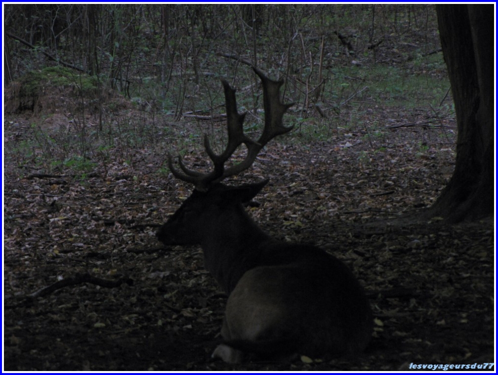 IMG_090 [1000X750] [1000X750] (2).JPG