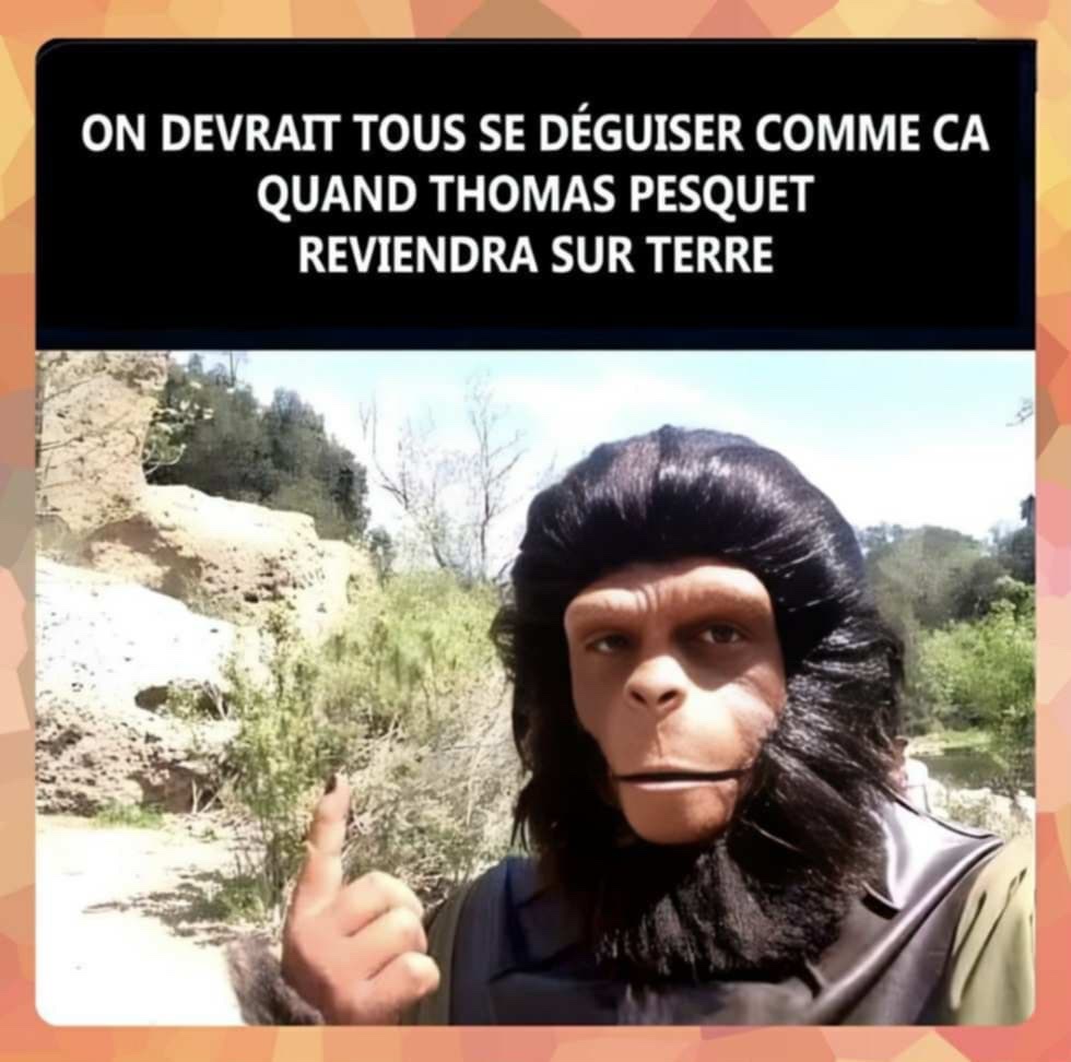 att.A3cP930Ncd-rG6dE7CsoqUD7-_chHgYufNYTTLHkjD8.jpeg