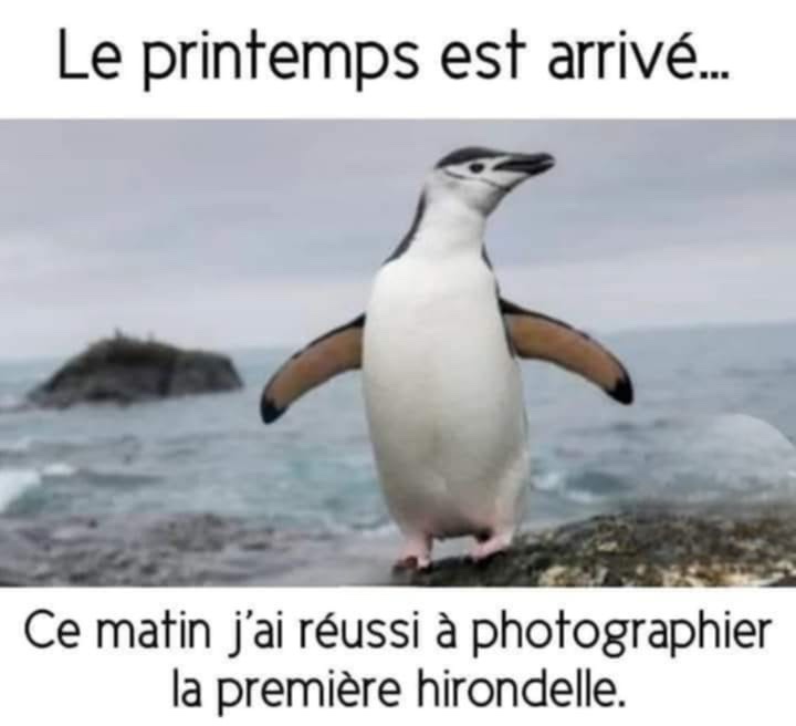 att.jqu6iOLur8pad4mxZG6gexMW_cXCKMuVwl-2rlxjh-k.jpeg