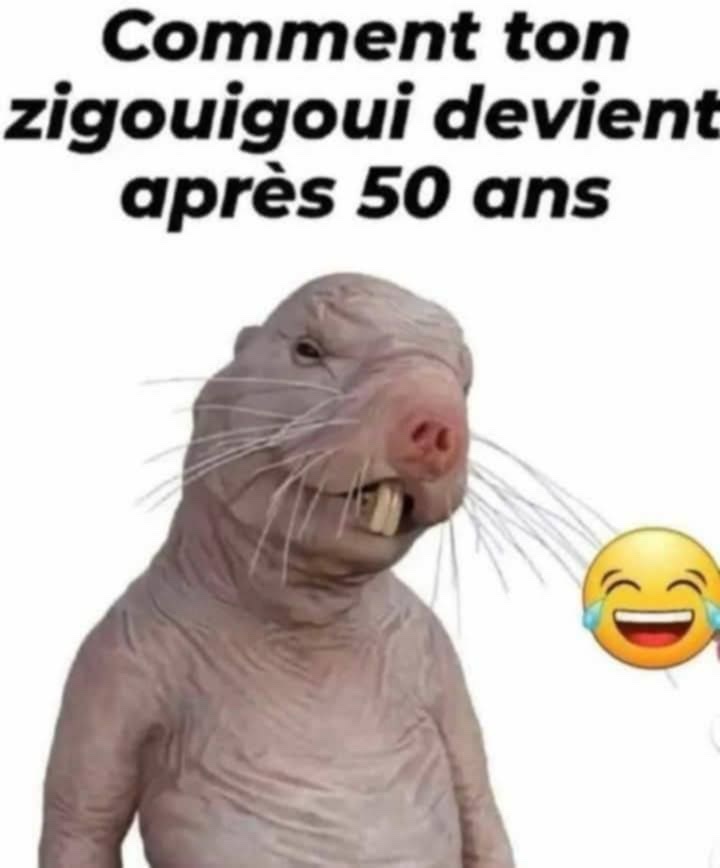 att.1lo8jfzT_iMXgleZGLzBhG47dhoDmWaDsZMfyjVA0mg.jpeg