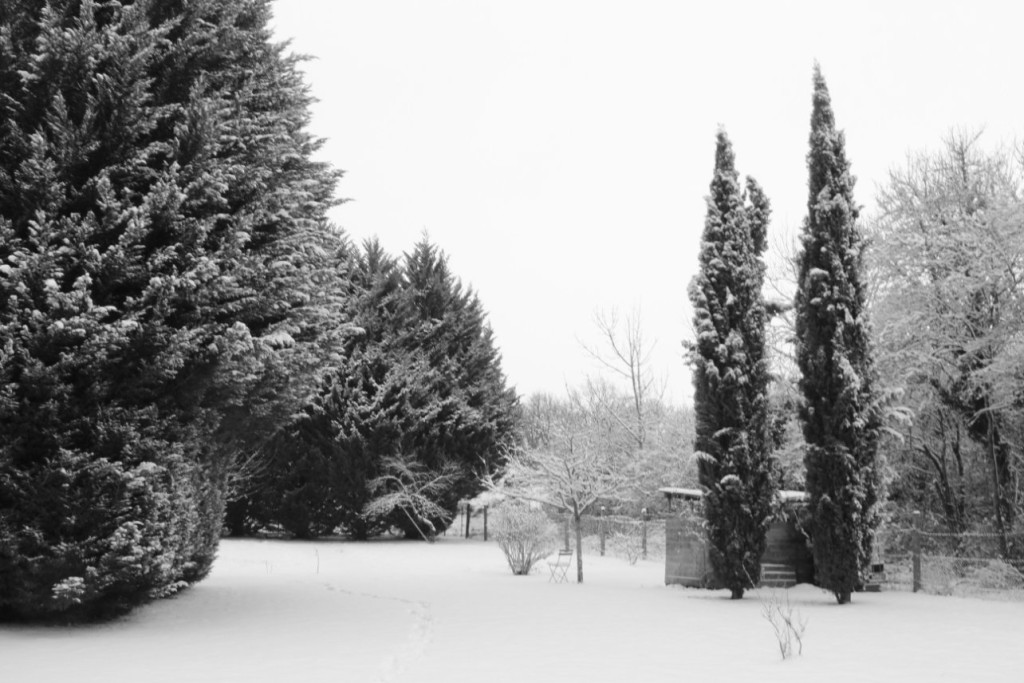 E33A1109-0FB5-47BF-9644-4A7B77777282.jpeg