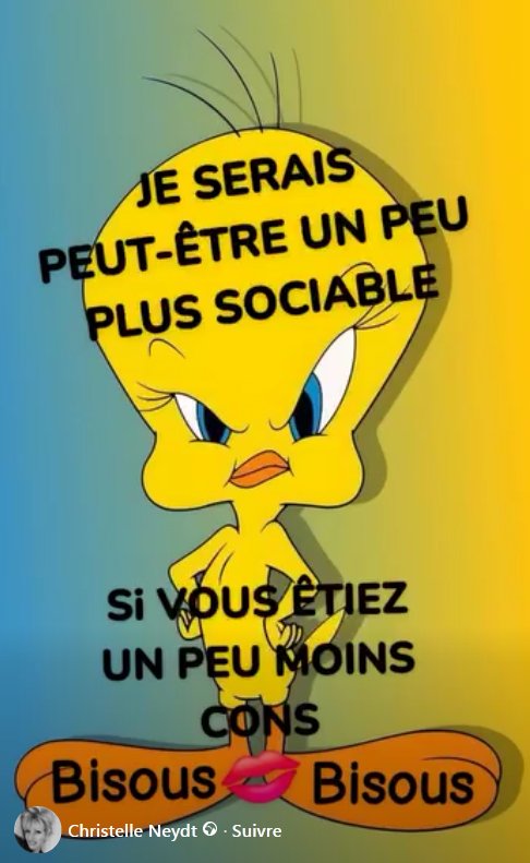 titi2.jpg