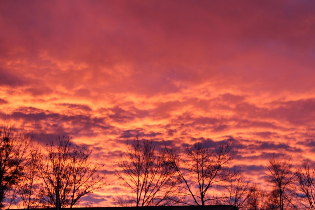 6774764E-D2CD-4F60-8073-A68816555E00.jpeg