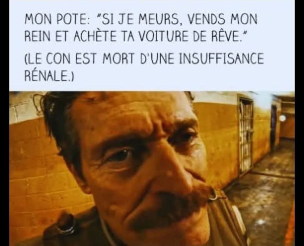 att._7Wy_KJZLycwKXAzr3Y1Wda9-ryvHlhXnl9-R7EUQrA.jpeg