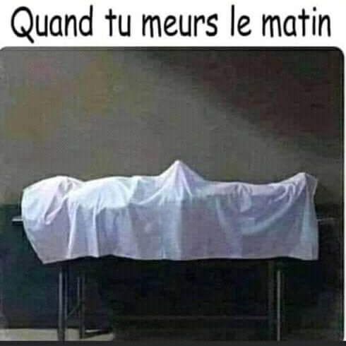 att.TBfNkcUjTzeIdAuo6yYerQcl9h2thPcOYfQYuWpbQOQ.jpeg