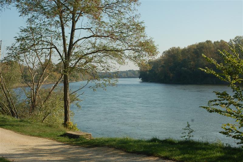 DSC_1022 (Medium).JPG