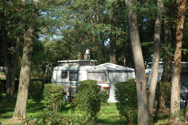 DSC_1033 (Medium).JPG