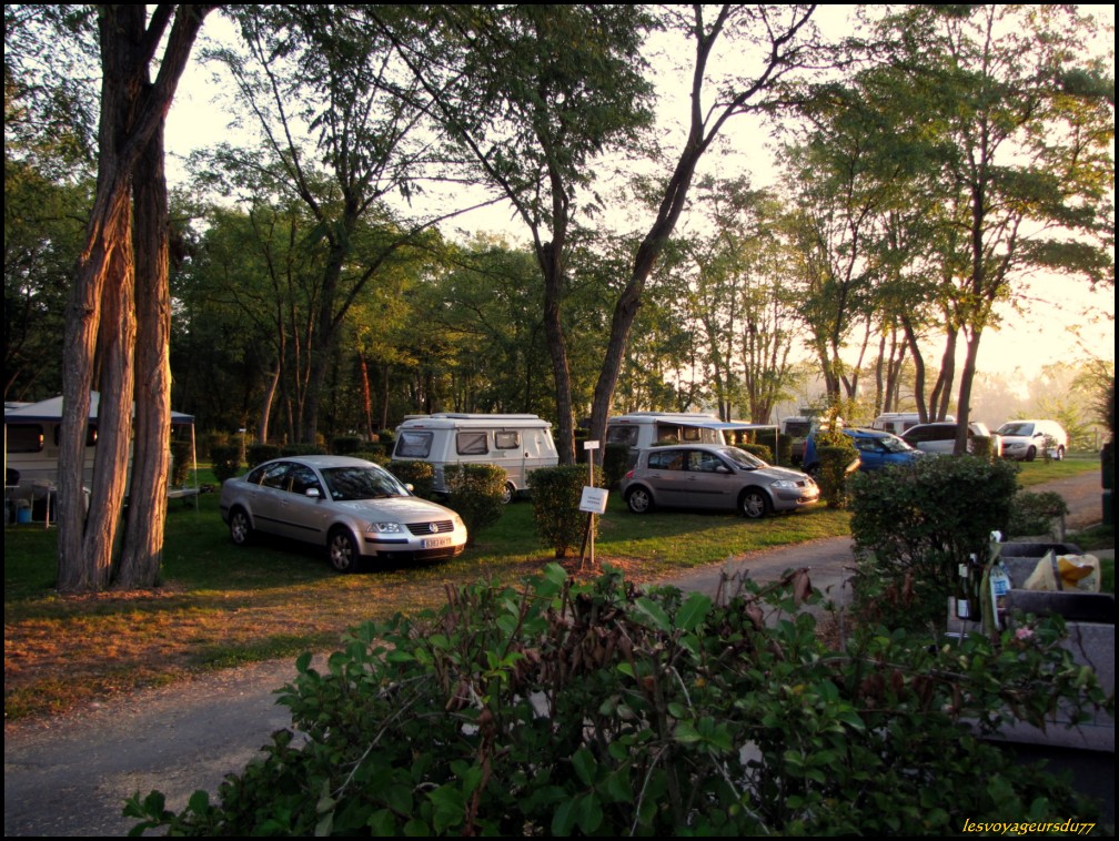 ddddcvd [1000X750].JPG