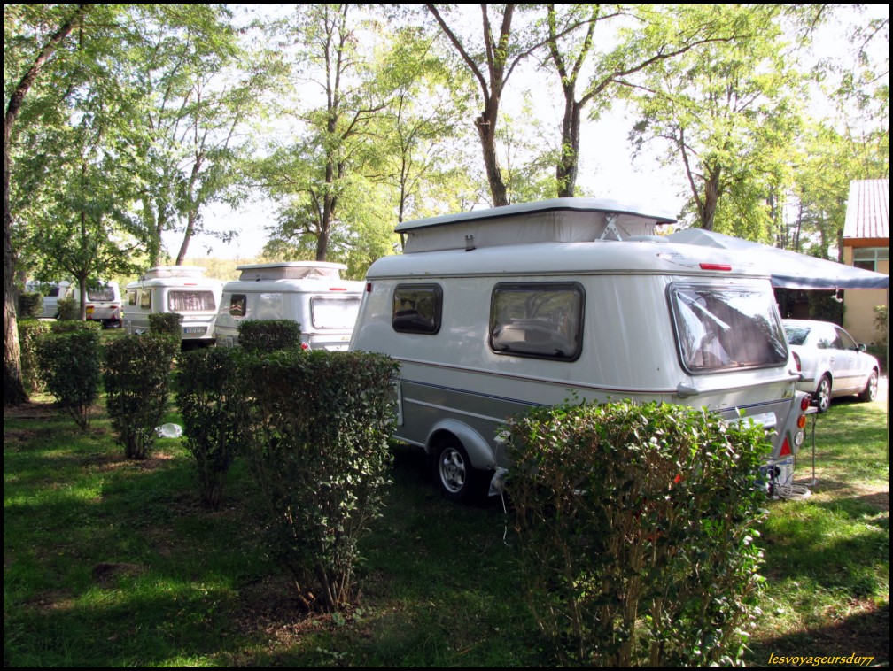 ddddedvbg [1000X750].JPG