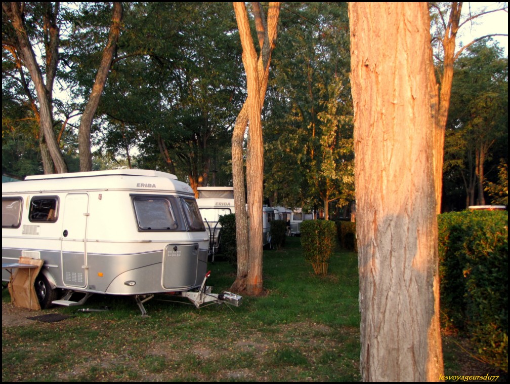 ddddfeerJPG [1000X750].jpg