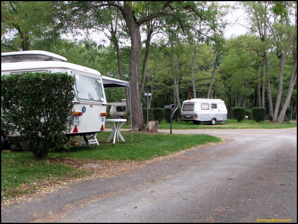 IDDDDD [1000X750].JPG