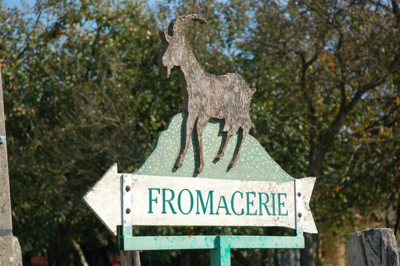 DSC_1052 (Medium).JPG