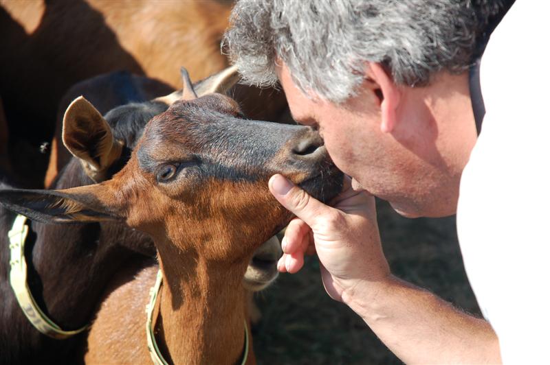 DSC_1070 (Medium).JPG