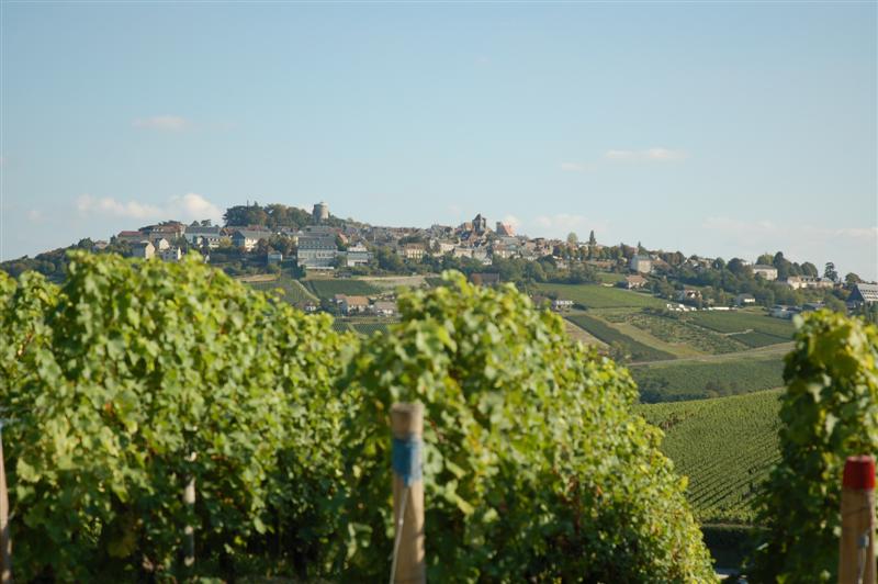 DSC_1082 (Medium).JPG