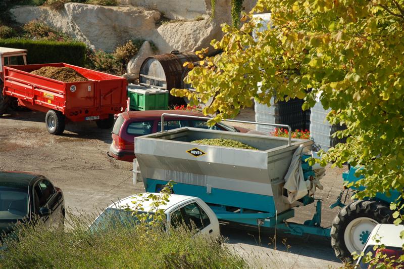 DSC_1083 (Medium).JPG