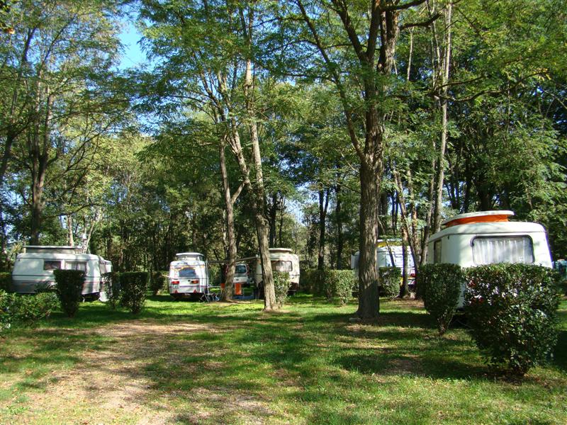 DSC06452 (Medium).JPG