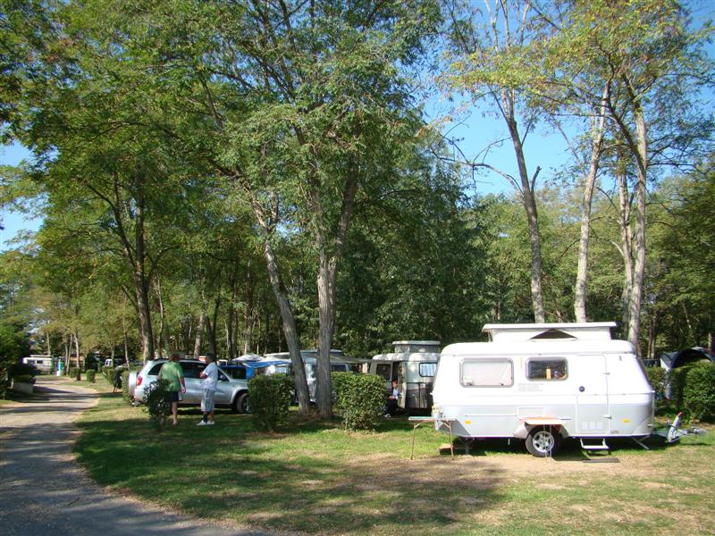 DSC06635 (Medium).JPG