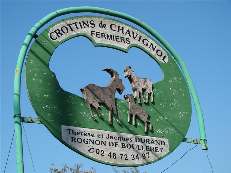 DSC06504 (Medium).JPG