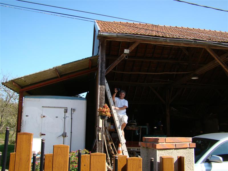 DSC06489 (Medium).JPG