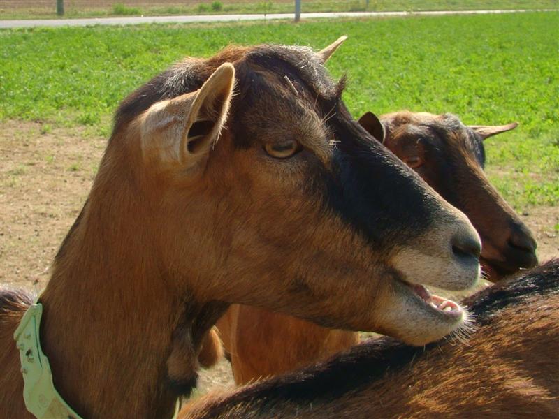 DSC06739 (Medium).JPG