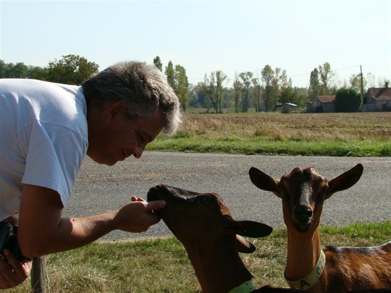 Je deviens chèvre !