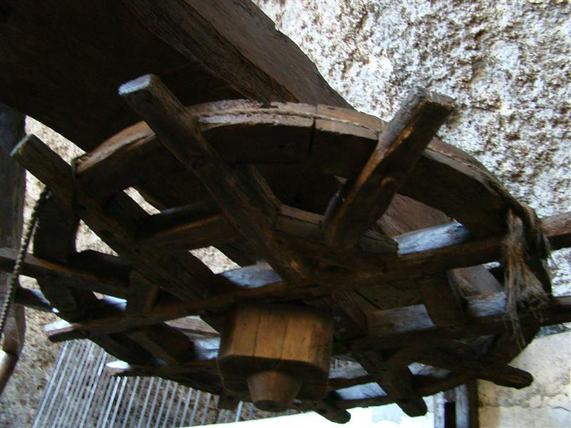 DSC06583 (Medium).JPG