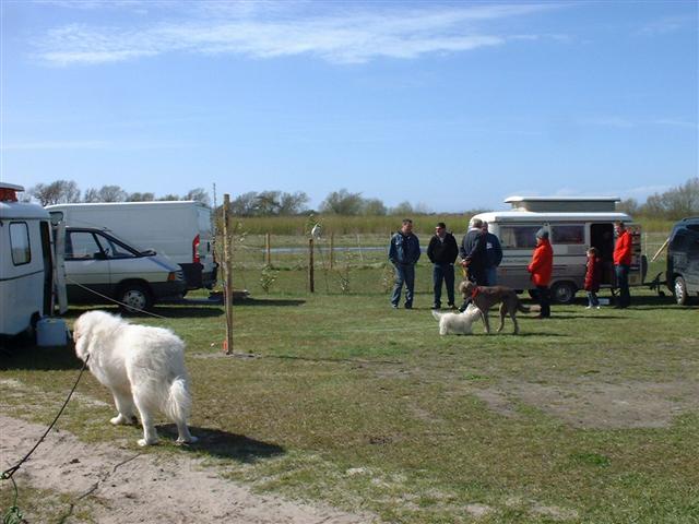 DSCF0027 (Small).JPG