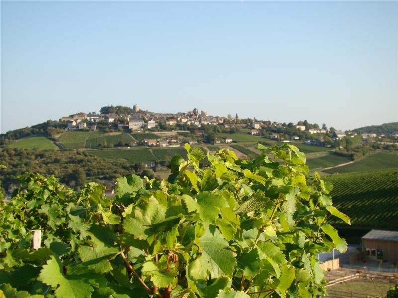 DSC06604 (Medium).JPG