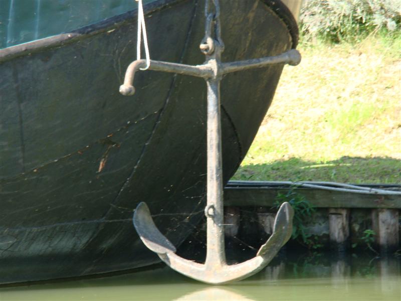 DSC06666 (Medium).JPG