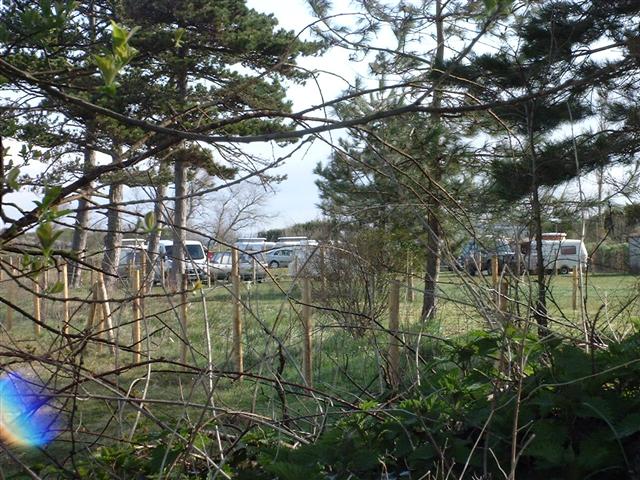 DSCF0041 (Small).JPG