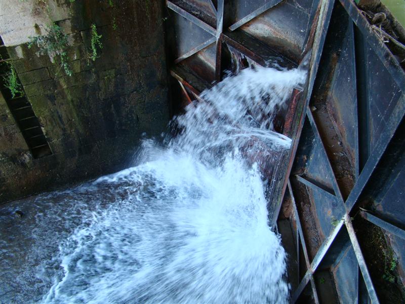 DSC06642 (Medium).JPG