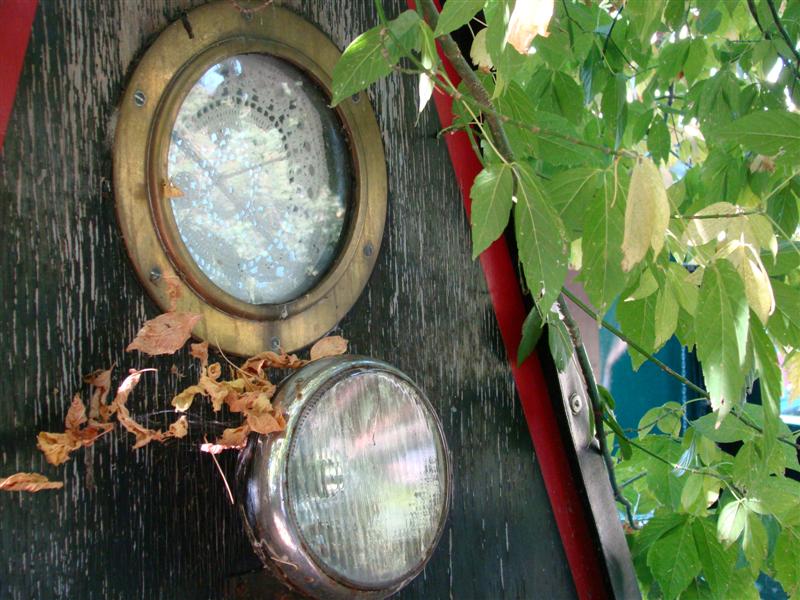 DSC06651 (Medium).JPG