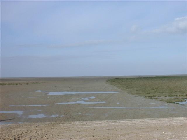 DSCF0049 (Small).JPG