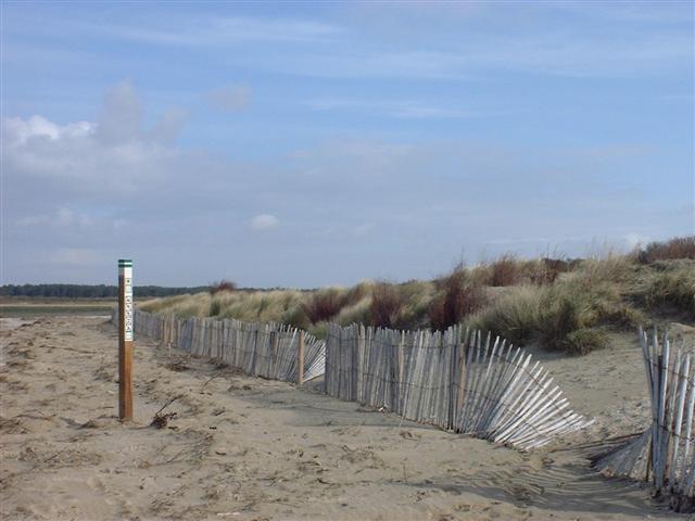 DSCF0053 (Small).JPG