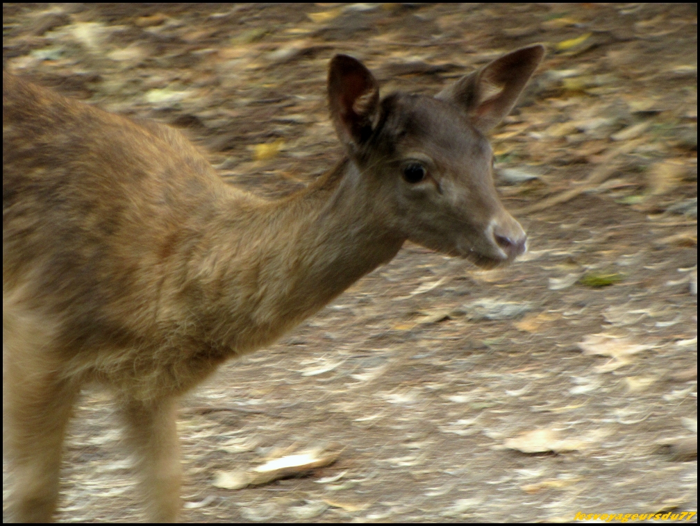 IMG_07 [1000X750].JPG