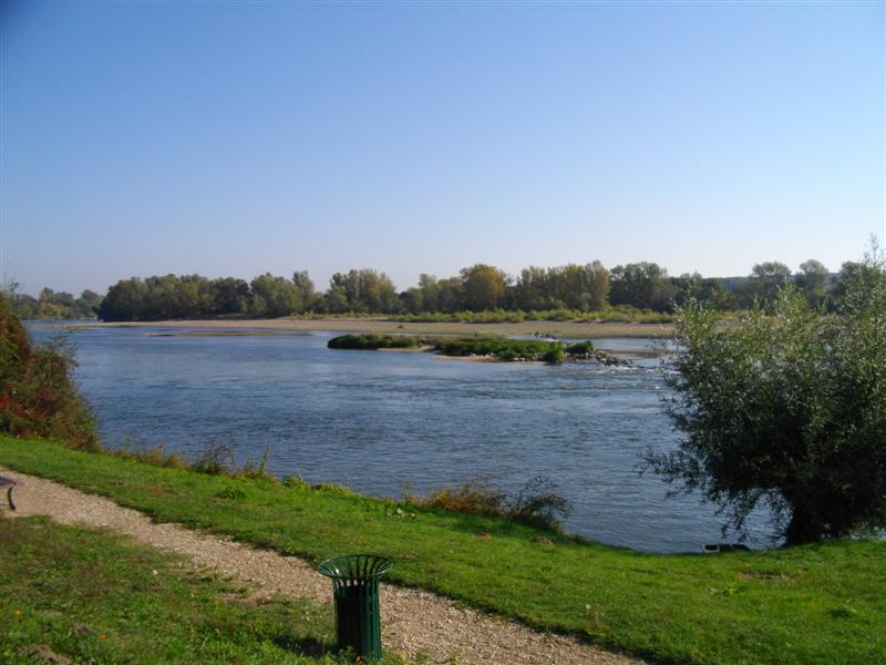 IMGP0855 (Medium).JPG