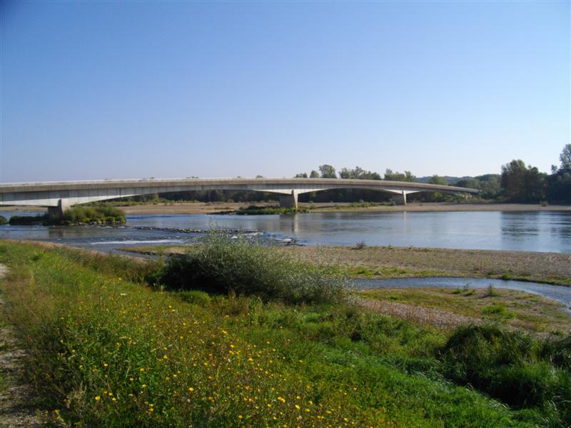 IMGP0862 (Medium).JPG