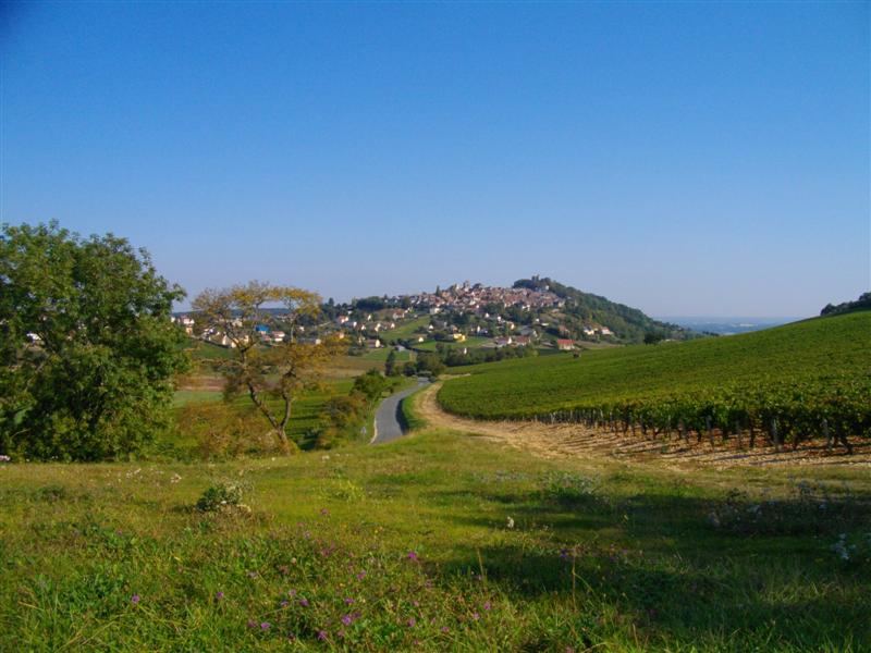 IMGP0932 (Medium).JPG