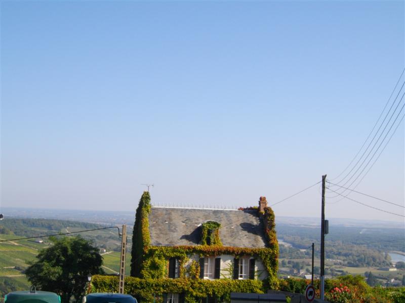 IMGP0960 (Medium).JPG