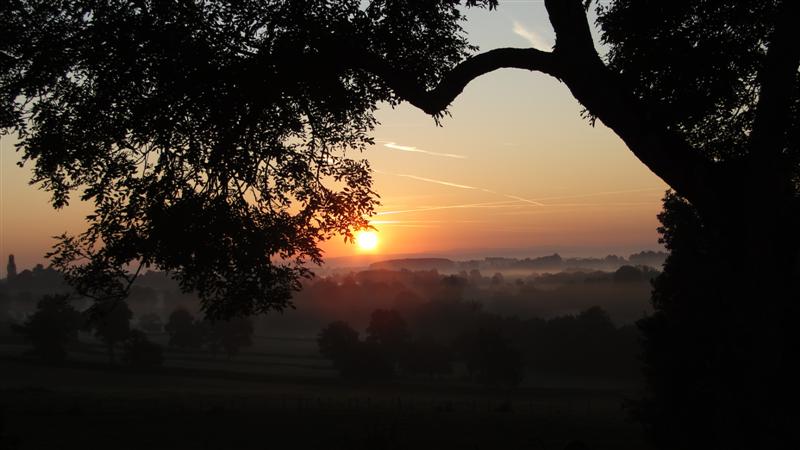 DSC01564 (Medium).JPG