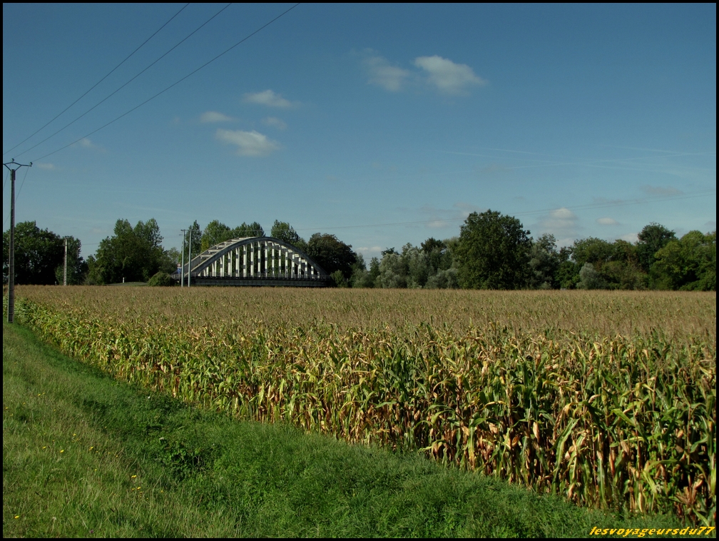 pont sur les  maïs.JPG
