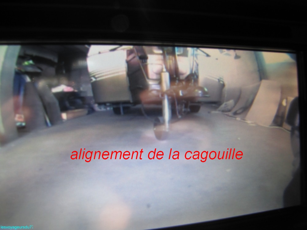 IMG_1389 [1000X750].JPG