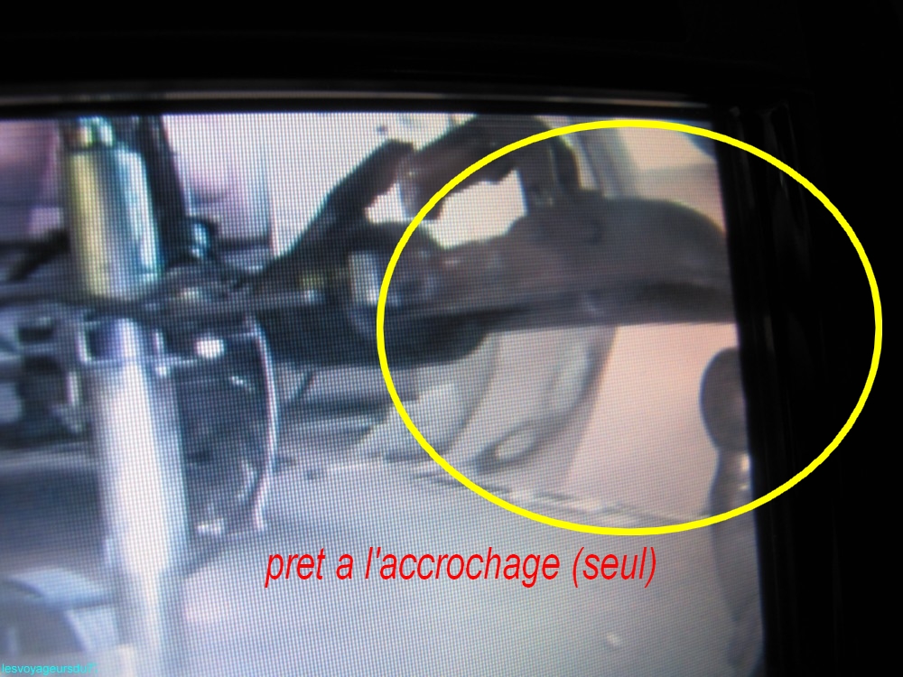 IMG_1390 [1000X750].JPG