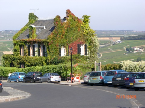 CIMG0902.JPG