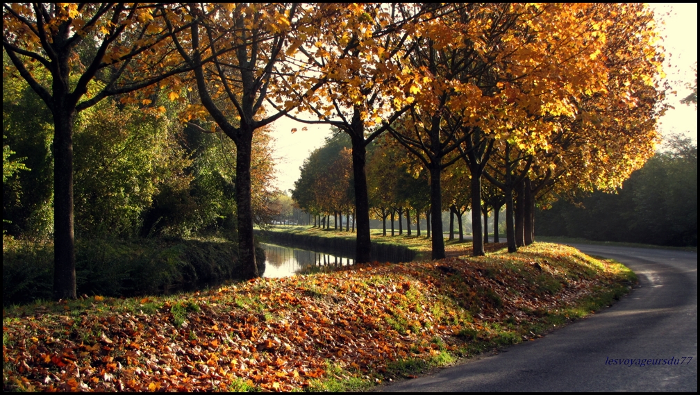 automne1 [1000X750].JPG