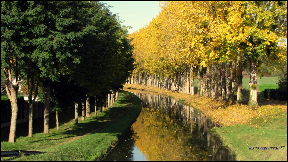 coté vert ,coté jaune