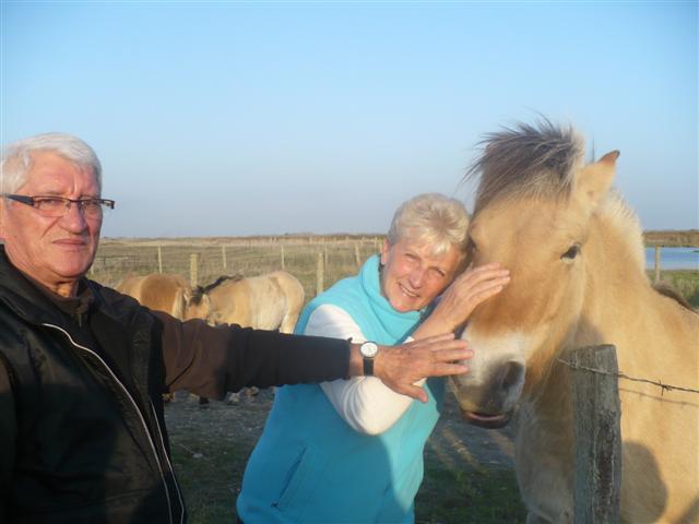 P1020162 (Small).JPG