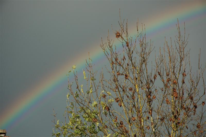 DSC_1312 (Medium).JPG