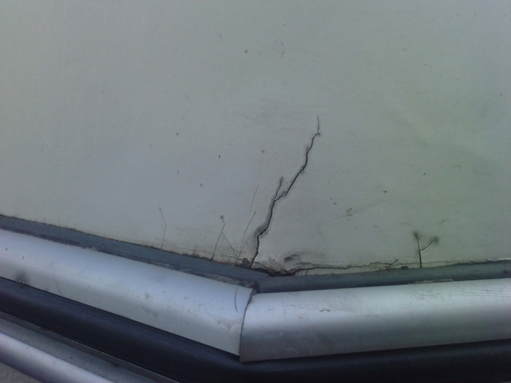 P101109_12.040001 [1000X750].JPG