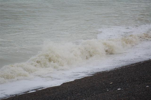 DSC_1420 (Small).JPG